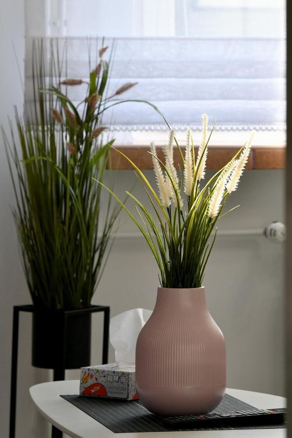 Apartament Spytkowice - Energylandia Krakow Oswiecim Wadowice ภายนอก รูปภาพ